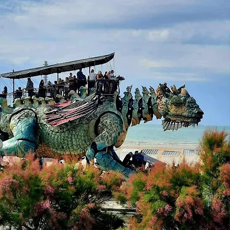 Plage-gare Elegant Equipe קאלה