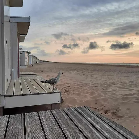 Plage-gare Elegant Equipe Кале